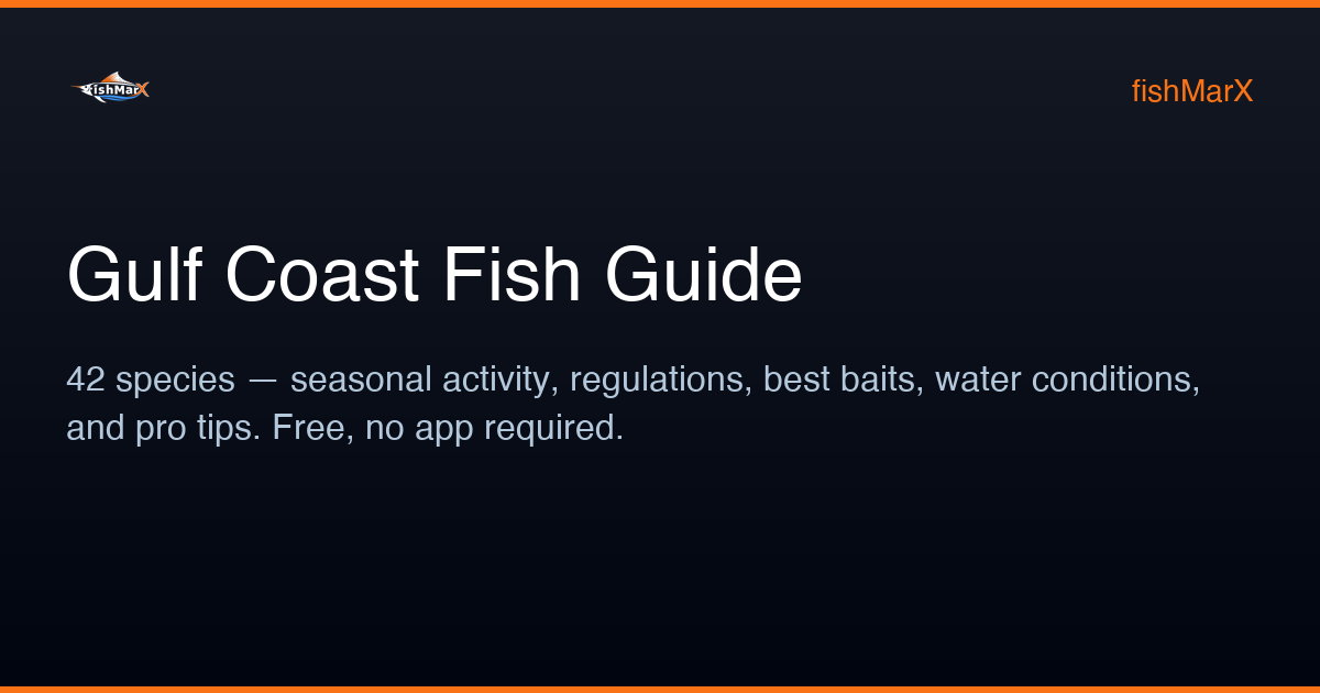 Gulf Coast Fish Guide – fishMarX